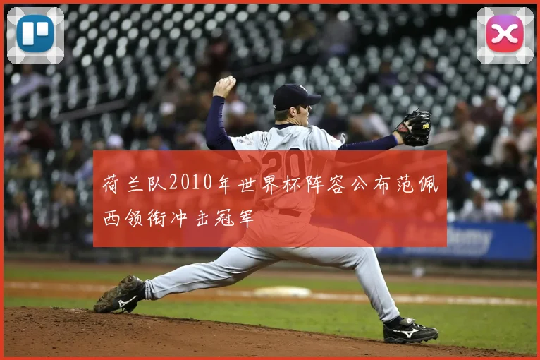 荷兰队2010年世界杯阵容公布范佩西领衔冲击冠军