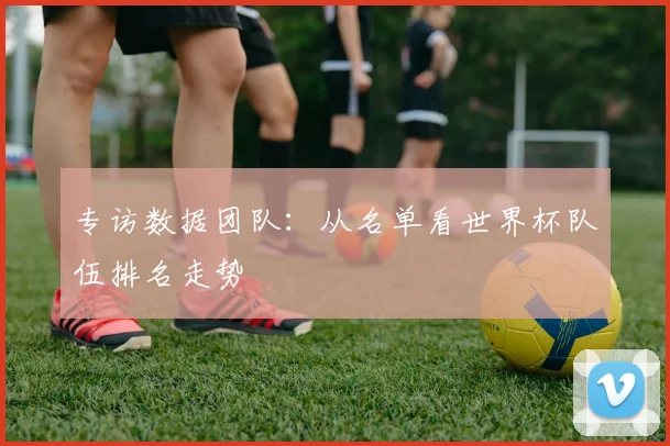 专访数据团队：从名单看世界杯队伍排名走势