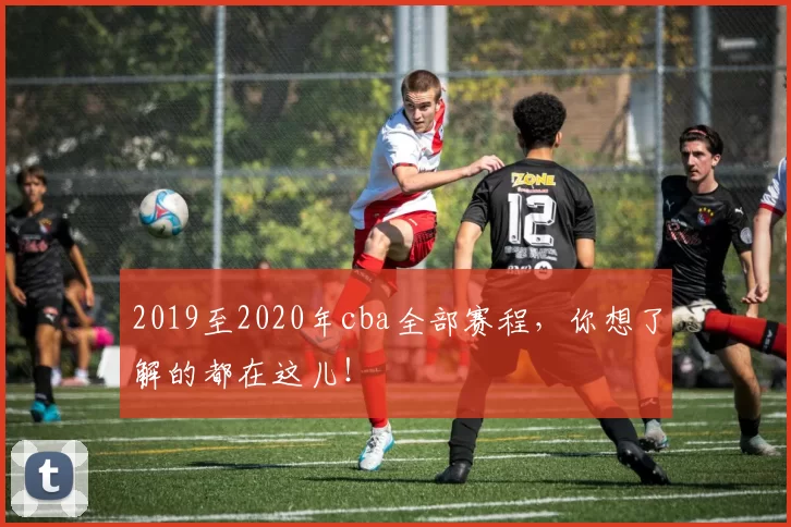 2019至2020年cba全部赛程，你想了解的都在这儿！