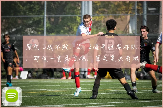 原创 3战不败！2：2逼平世界杯队，邵佳一首秀惊艳，国足复兴有戏？